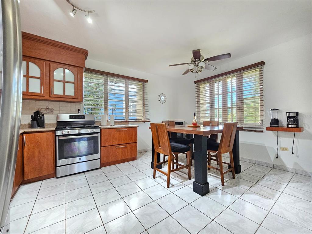 478, San Antonio, Quebradillas - 10