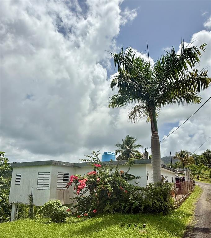 181, Route, Yabucoa - 13