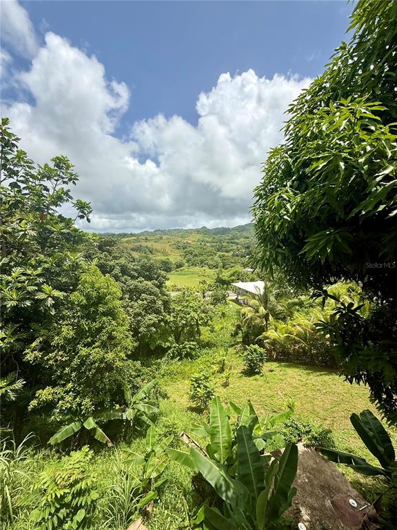 181, Route, Yabucoa - 14