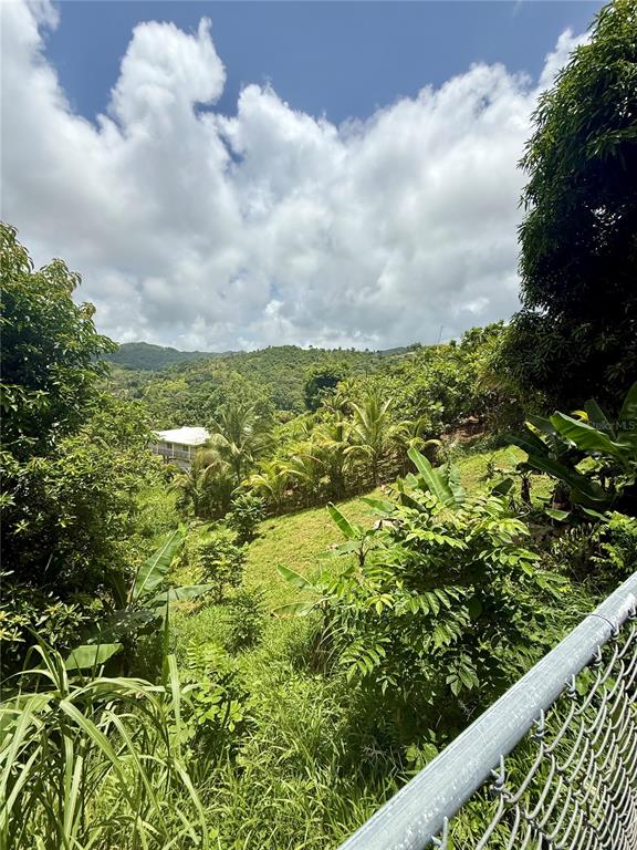 181, Route, Yabucoa - 16