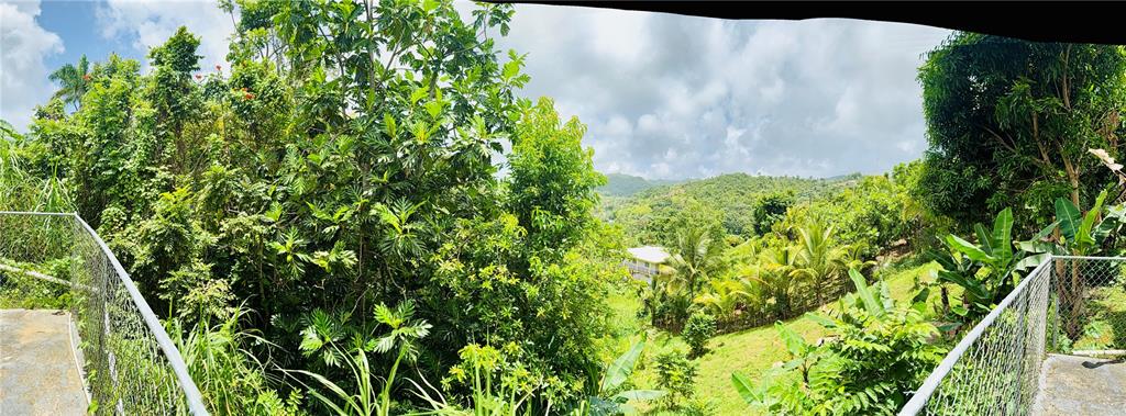 181, Route, Yabucoa - 17