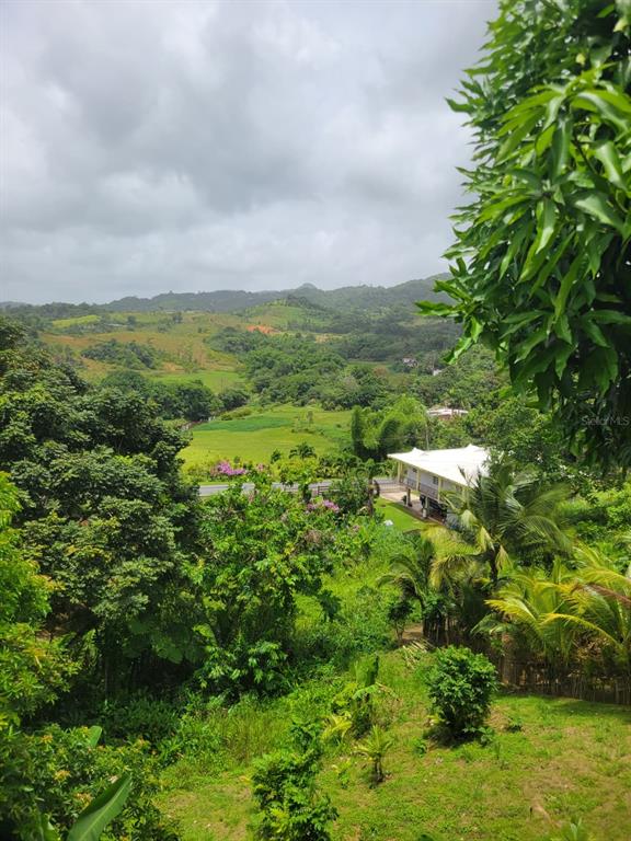 181, Route, Yabucoa - 19