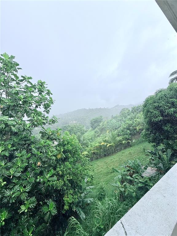 181, Route, Yabucoa - 29