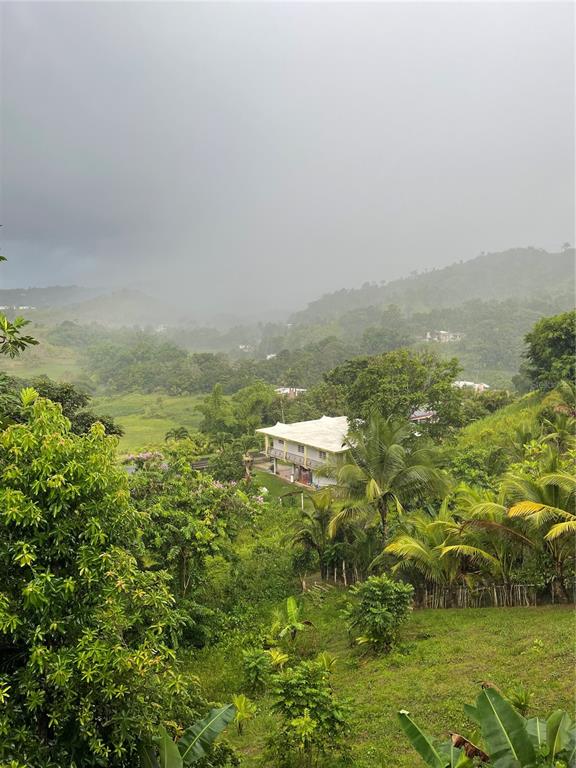 181, Route, Yabucoa - 30