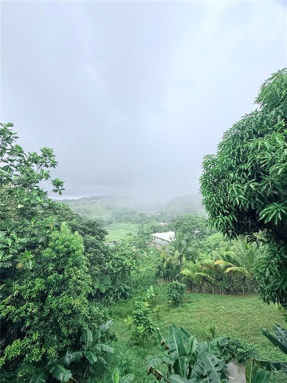 181, Route, Yabucoa - 31