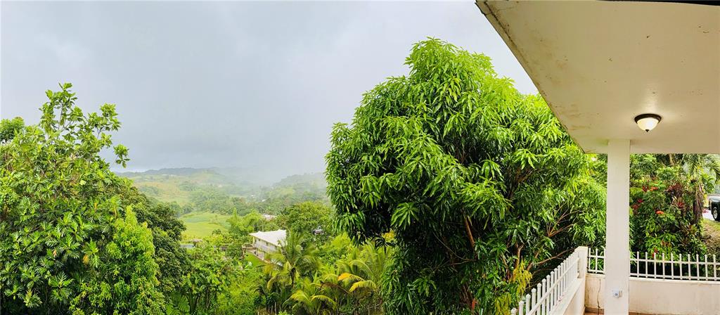181, Route, Yabucoa - 32