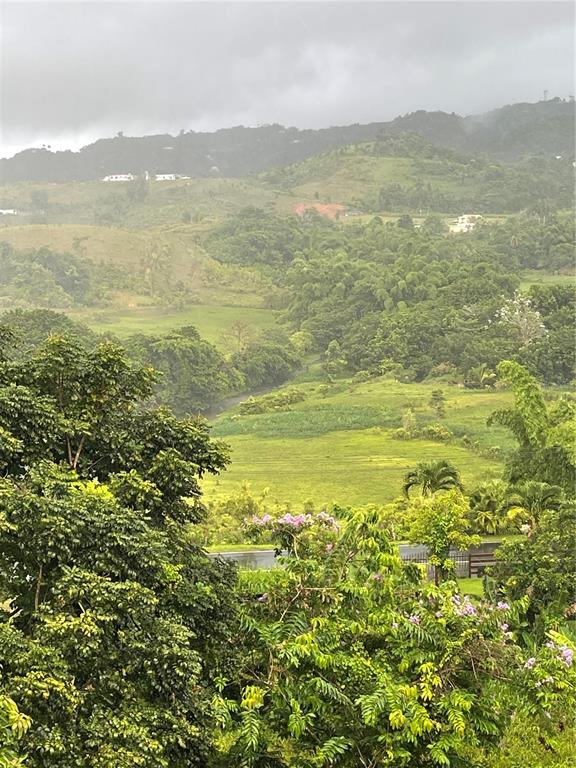181, Route, Yabucoa - 33