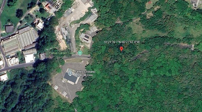 , Morovis - 4