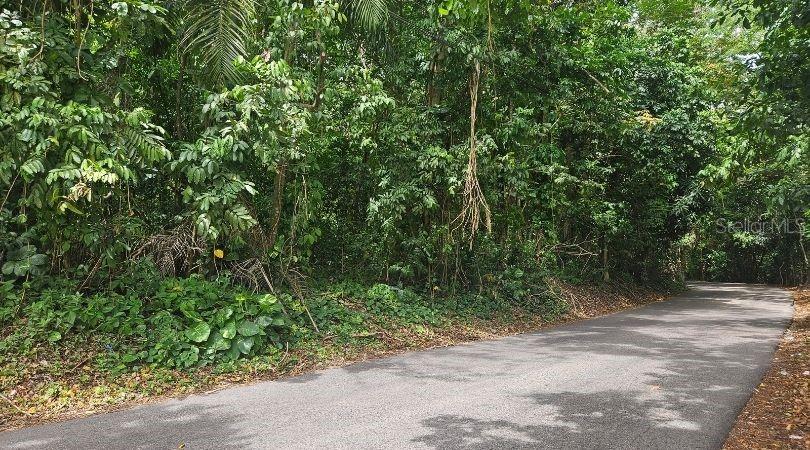 , Morovis - 6
