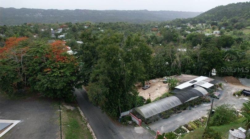 , Morovis - 7
