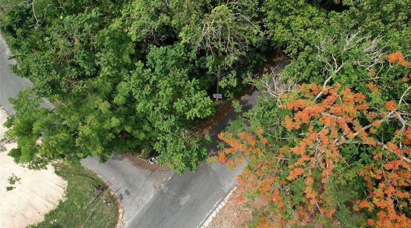 , Morovis - 8