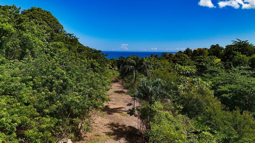 Puntas Paradise--, Calle Vista Del Mar, Rincon - 1