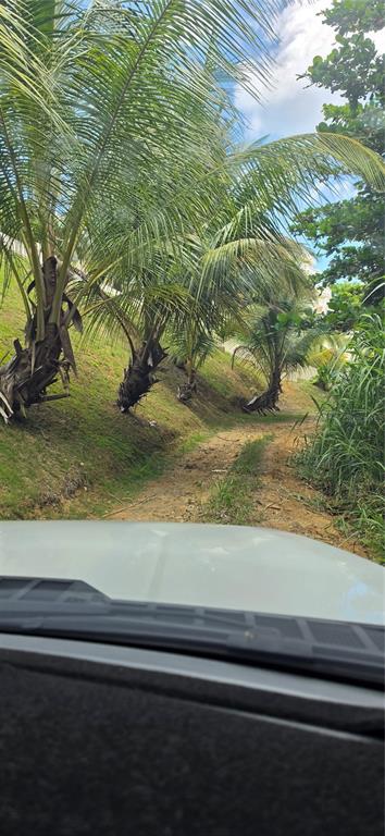 Puntas Paradise--, Calle Vista Del Mar, Rincon - 10