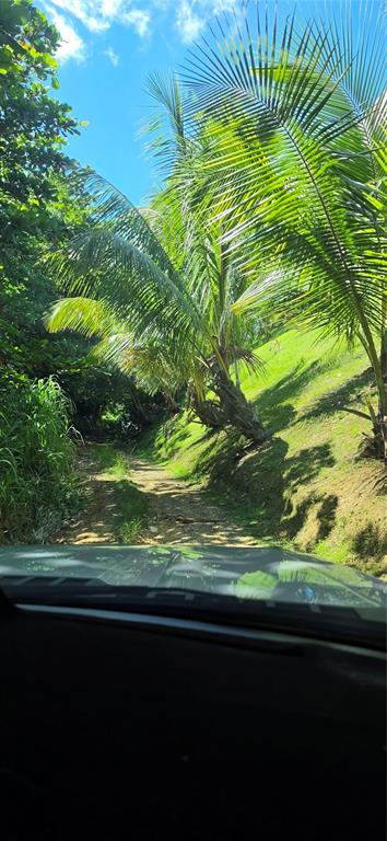 Puntas Paradise--, Calle Vista Del Mar, Rincon - 12