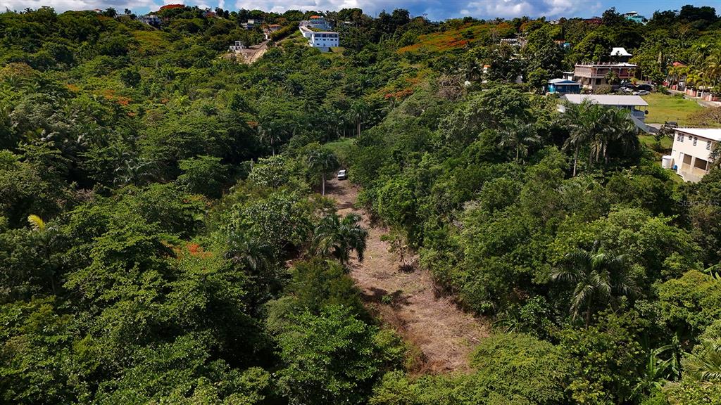 Puntas Paradise--, Calle Vista Del Mar, Rincon - 3