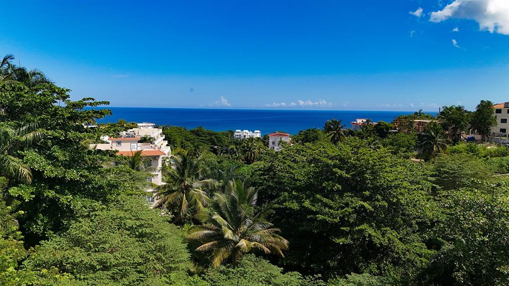 Puntas Paradise--, Calle Vista Del Mar, Rincon - 5
