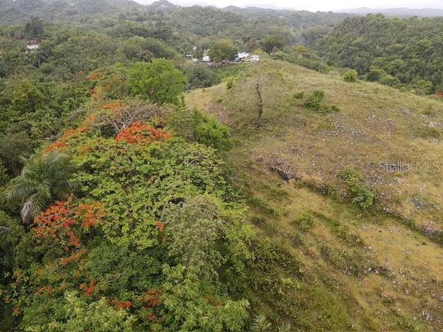 Pr 6684 Buena Vista, Km Hm 2.5, Morovis - 10