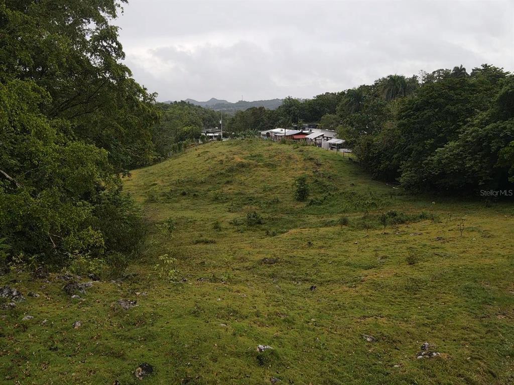 Pr 6684 Buena Vista, Km Hm 2.5, Morovis - 13