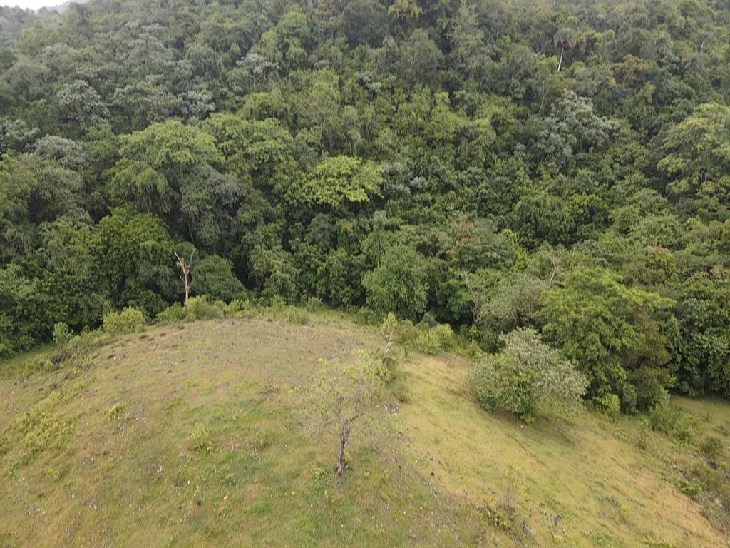 Pr 6684 Buena Vista, Km Hm 2.5, Morovis - 14