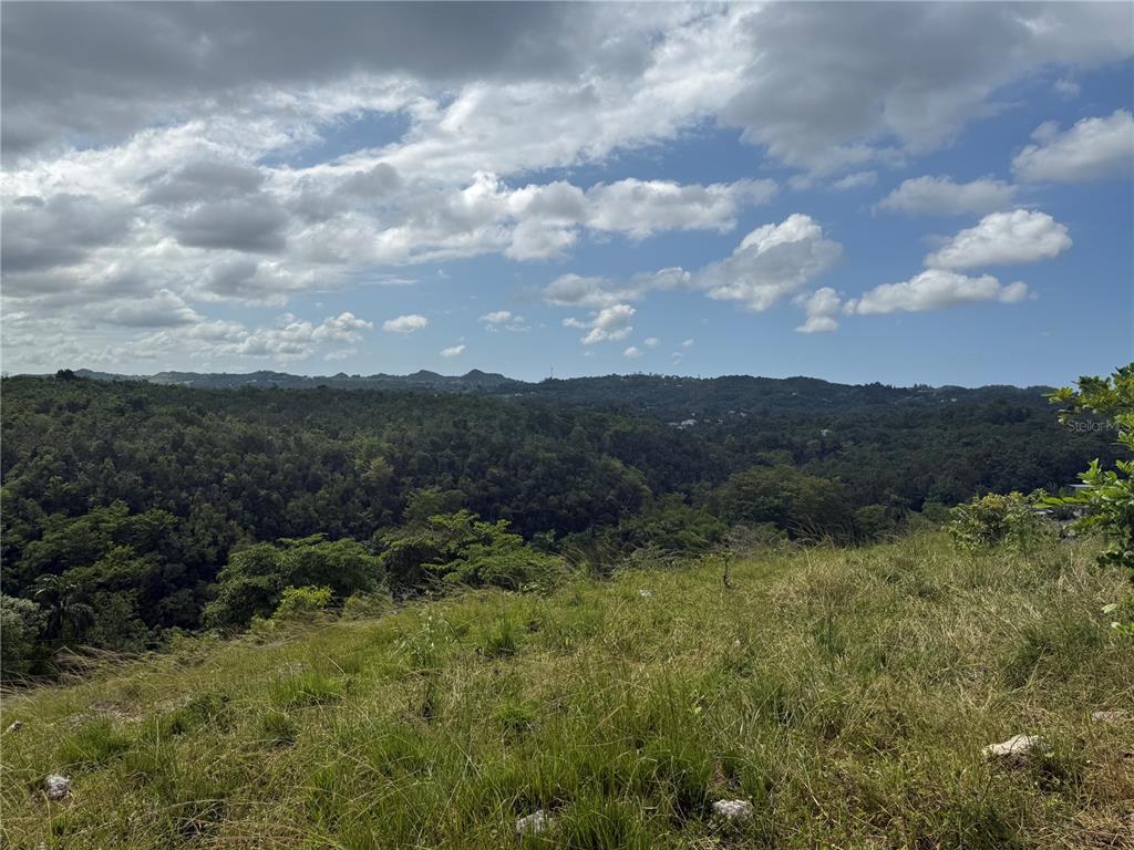 Pr 6684 Buena Vista, Km Hm 2.5, Morovis - 4