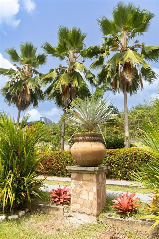 393, Monte Carmelo, Vieques - 34
