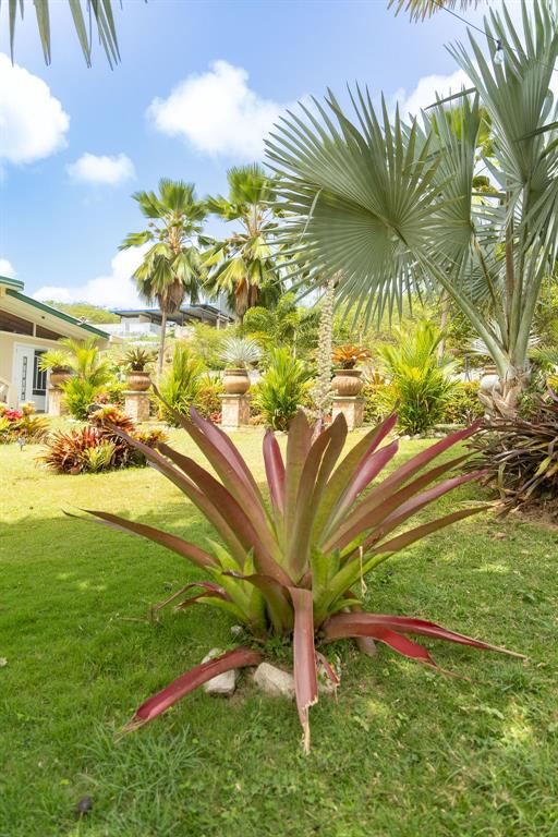 393, Monte Carmelo, Vieques - 35