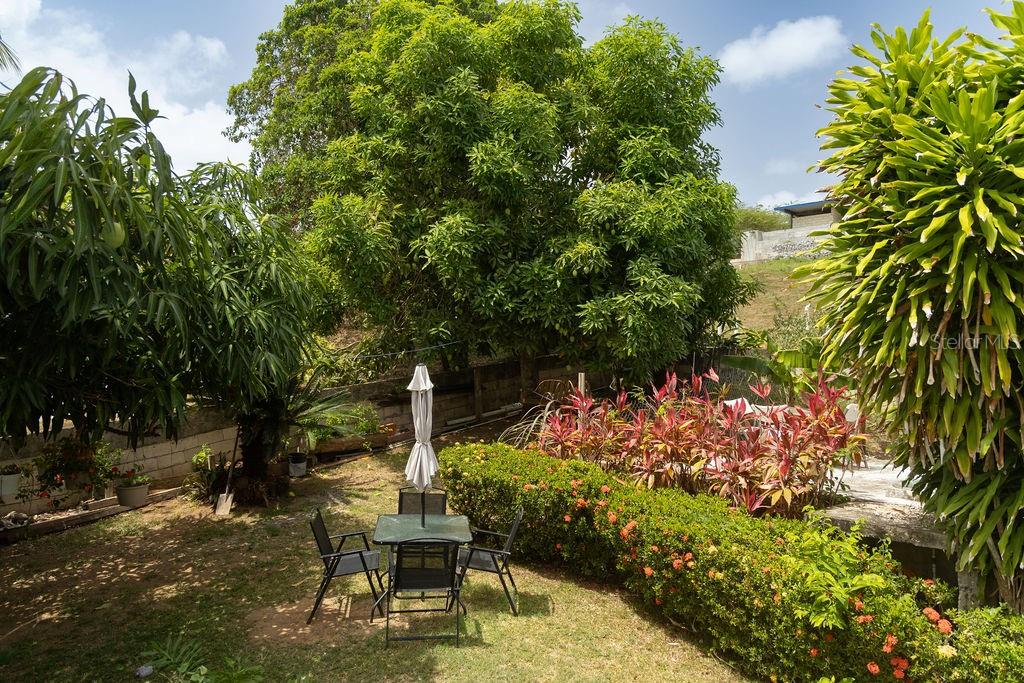 393, Monte Carmelo, Vieques - 38