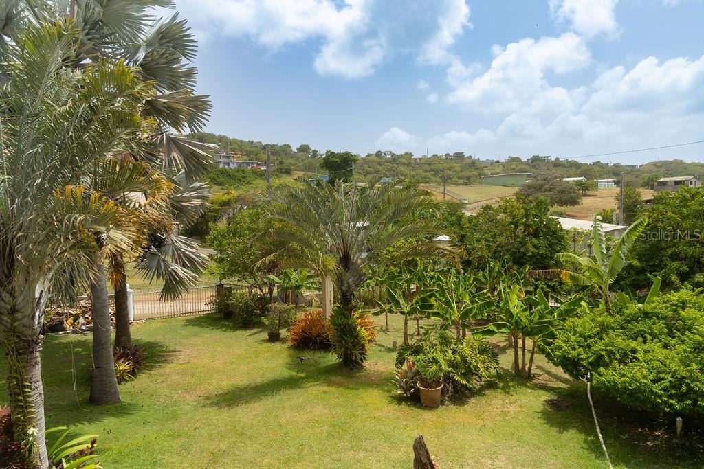 393, Monte Carmelo, Vieques - 39