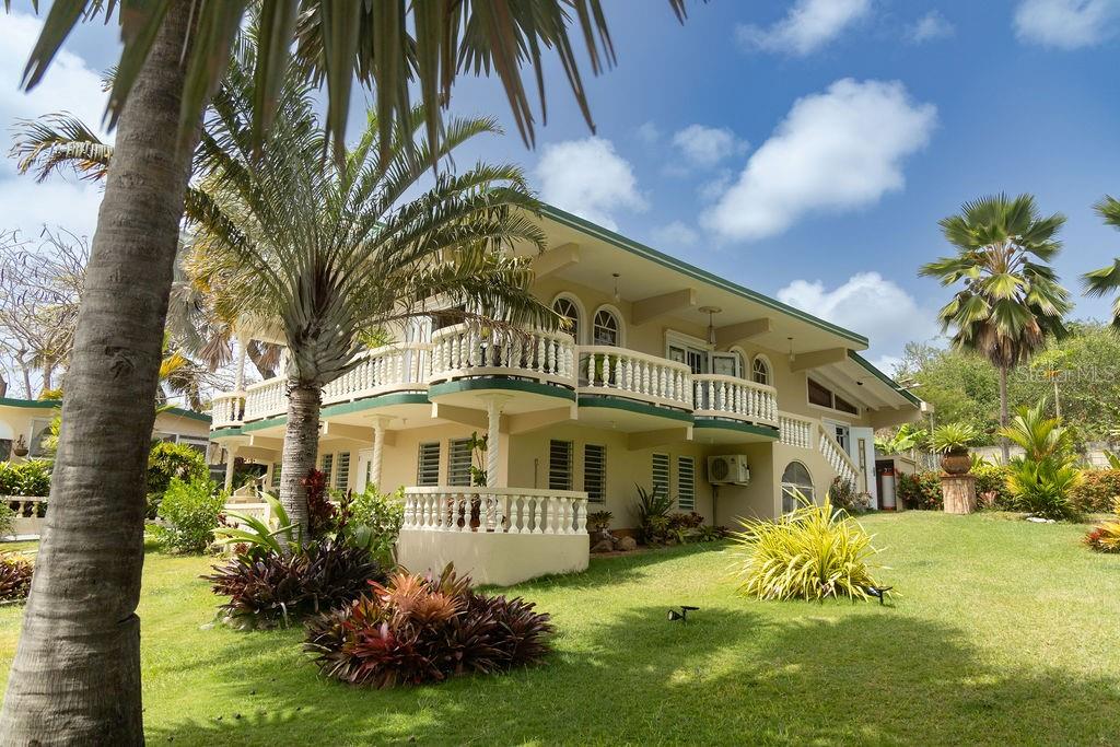 393, Monte Carmelo, Vieques - 4