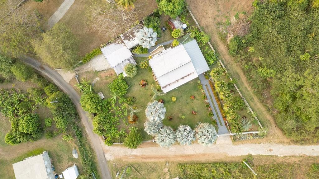 393, Monte Carmelo, Vieques - 41