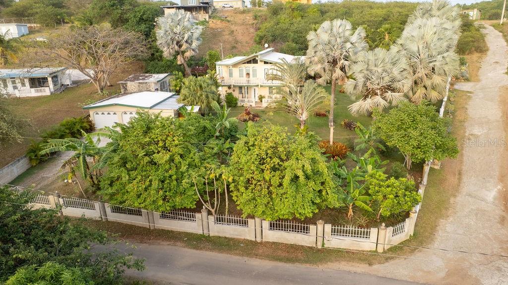 393, Monte Carmelo, Vieques - 6