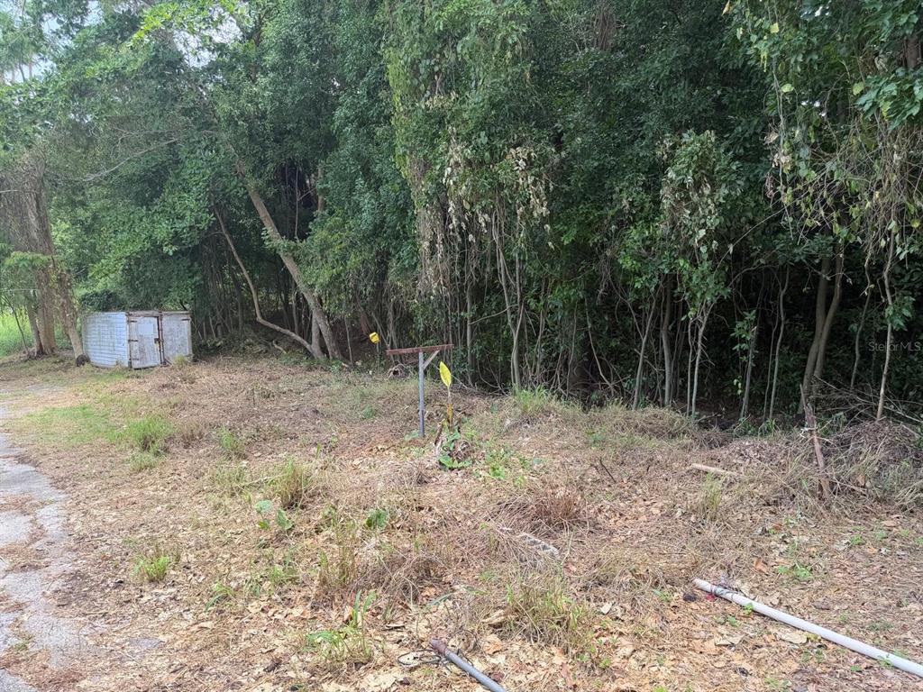 Carr 304, Barrio Jaguitas Ward, Hormigueros - 4