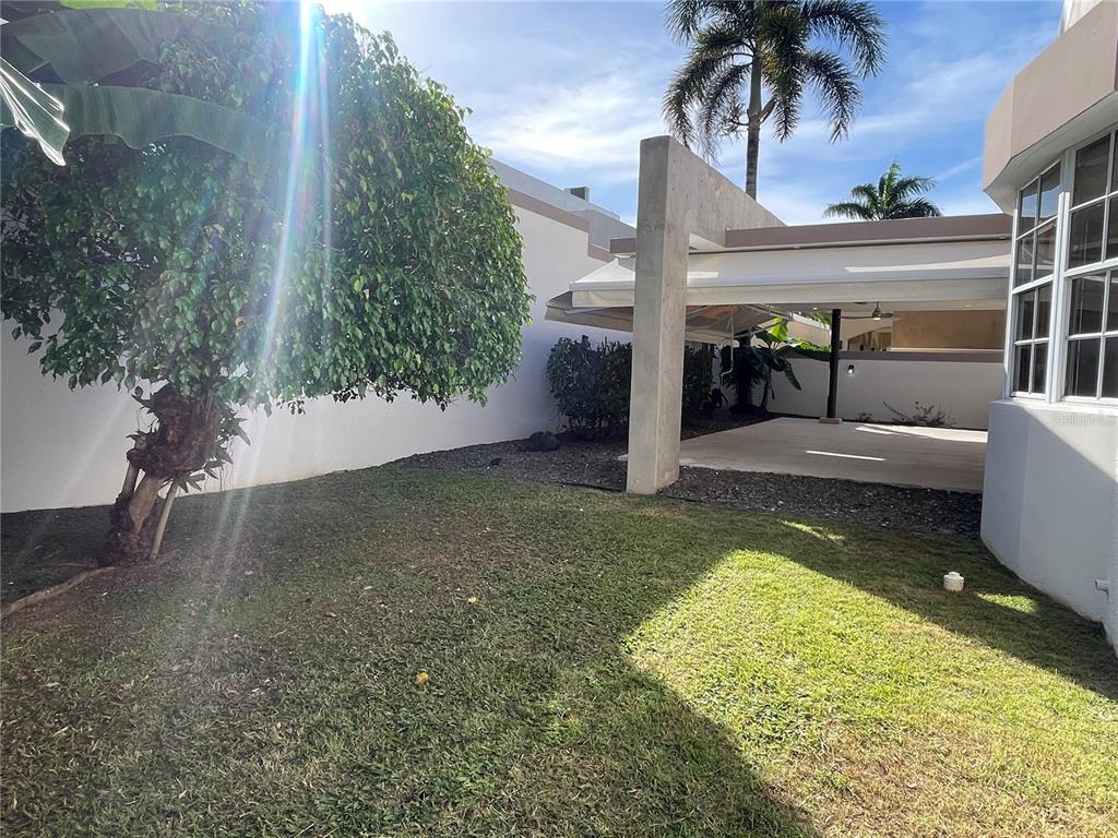 Palma Real, Coco Plumosa, Guaynabo - 11