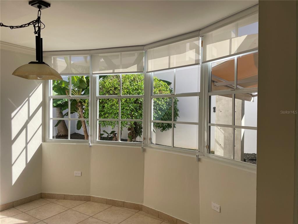 Palma Real, Coco Plumosa, Guaynabo - 12