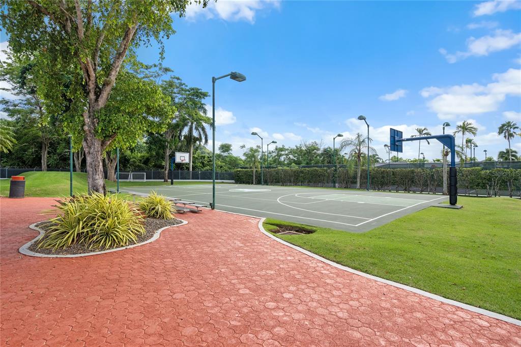 Palma Real, Coco Plumosa, Guaynabo - 13