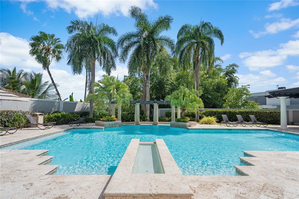 Palma Real, Coco Plumosa, Guaynabo - 15