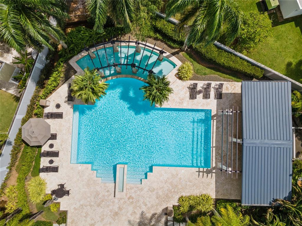 Palma Real, Coco Plumosa, Guaynabo - 18