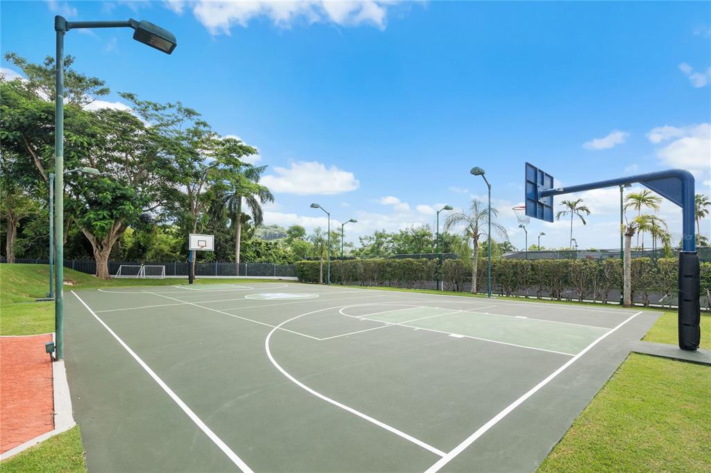 Palma Real, Coco Plumosa, Guaynabo - 19