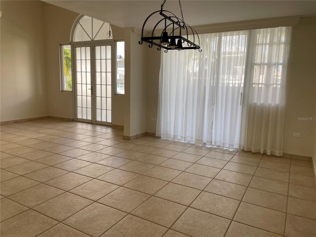 Palma Real, Coco Plumosa, Guaynabo - 2