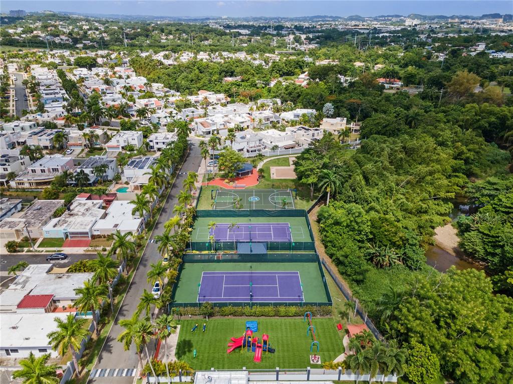 Palma Real, Coco Plumosa, Guaynabo - 20
