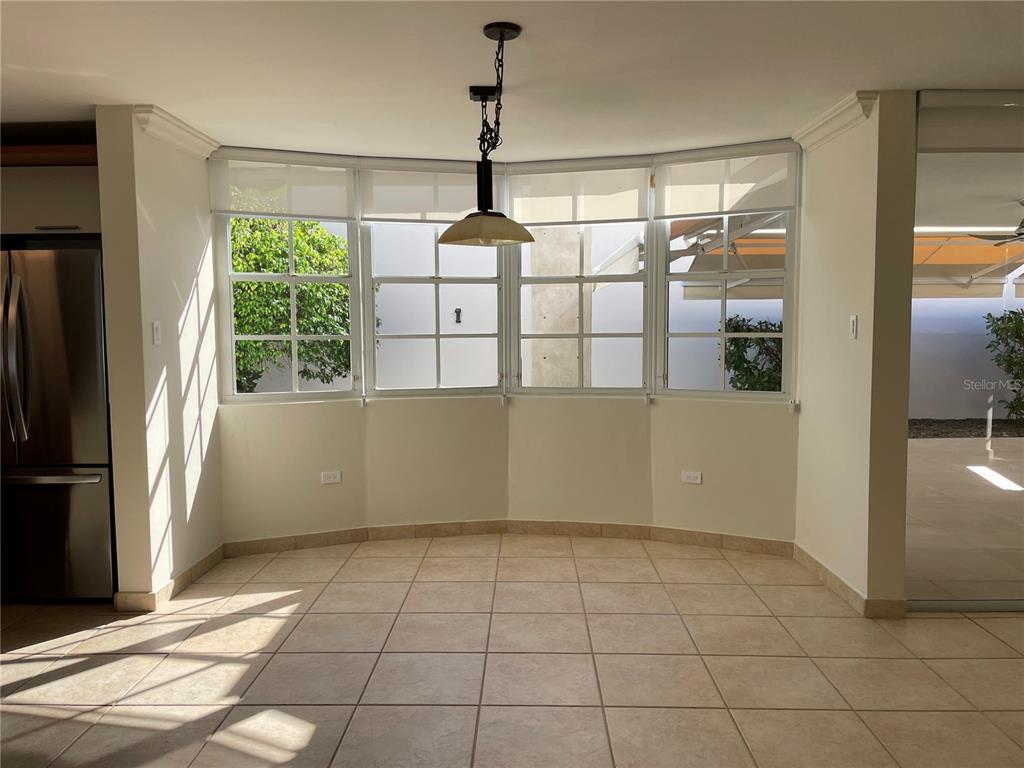 Palma Real, Coco Plumosa, Guaynabo - 3