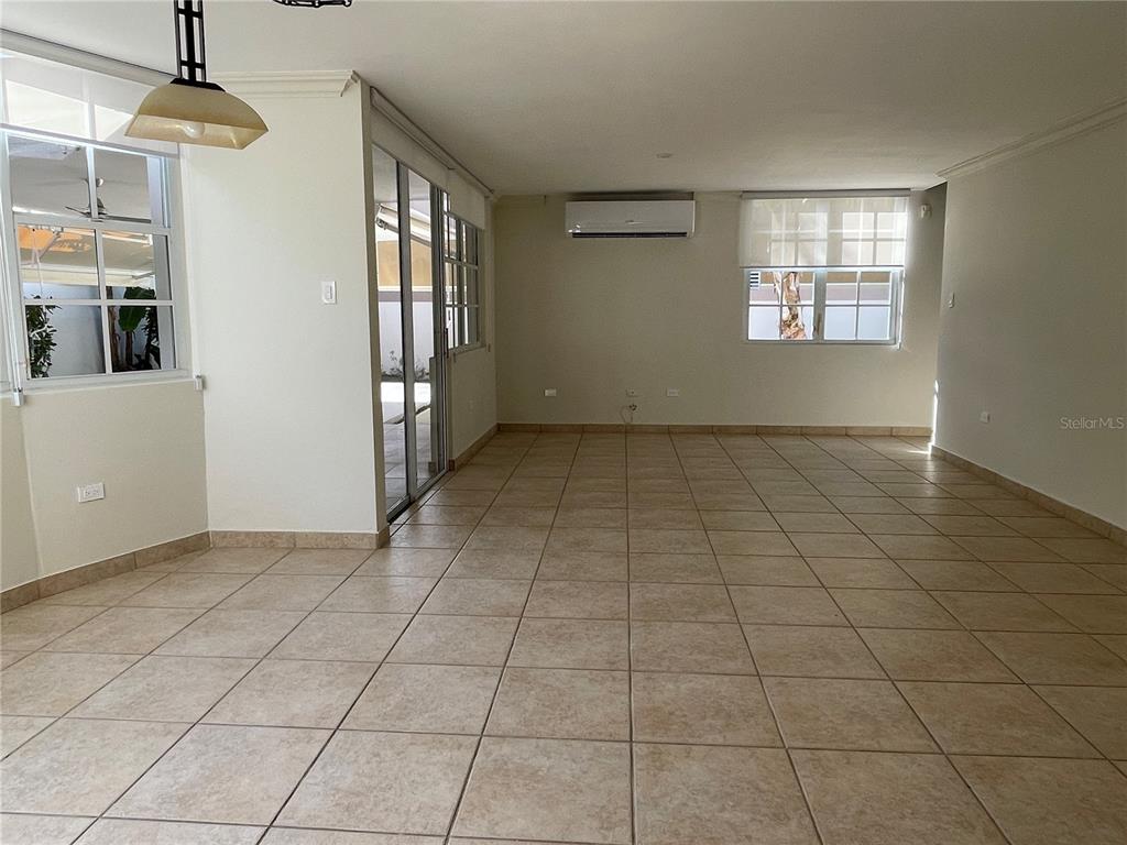 Palma Real, Coco Plumosa, Guaynabo - 4