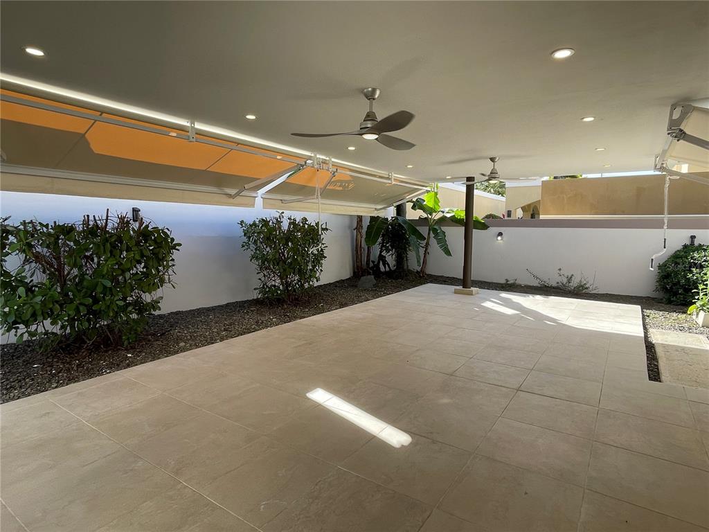 Palma Real, Coco Plumosa, Guaynabo - 6