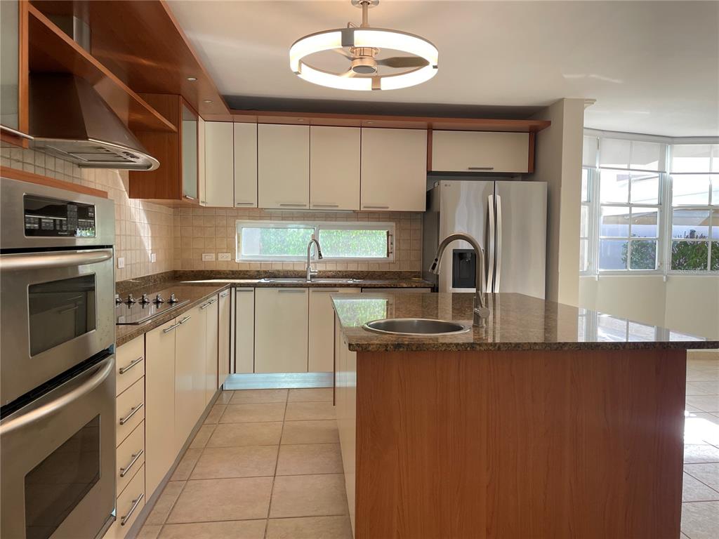 Palma Real, Coco Plumosa, Guaynabo - 7