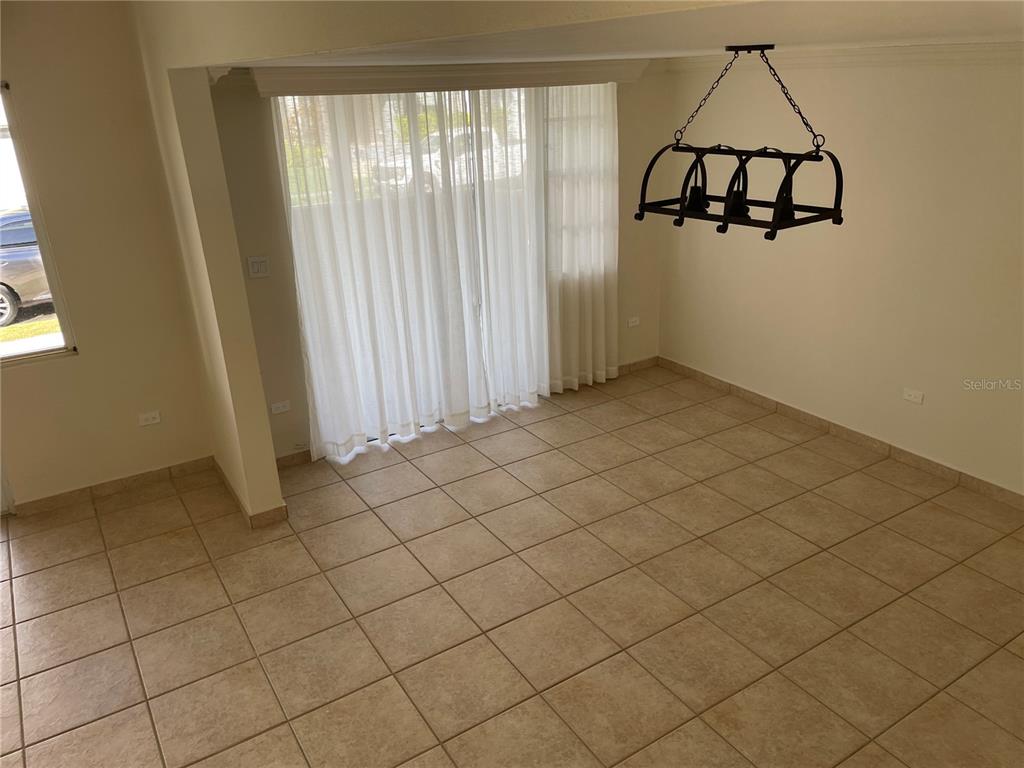 Palma Real, Coco Plumosa, Guaynabo - 8