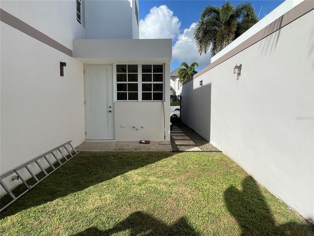 Palma Real, Coco Plumosa, Guaynabo - 9