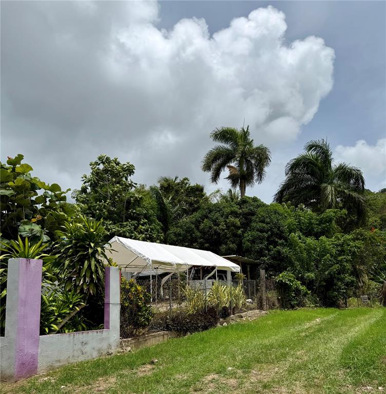 Km 0.9, Route 759, Maunabo - 10
