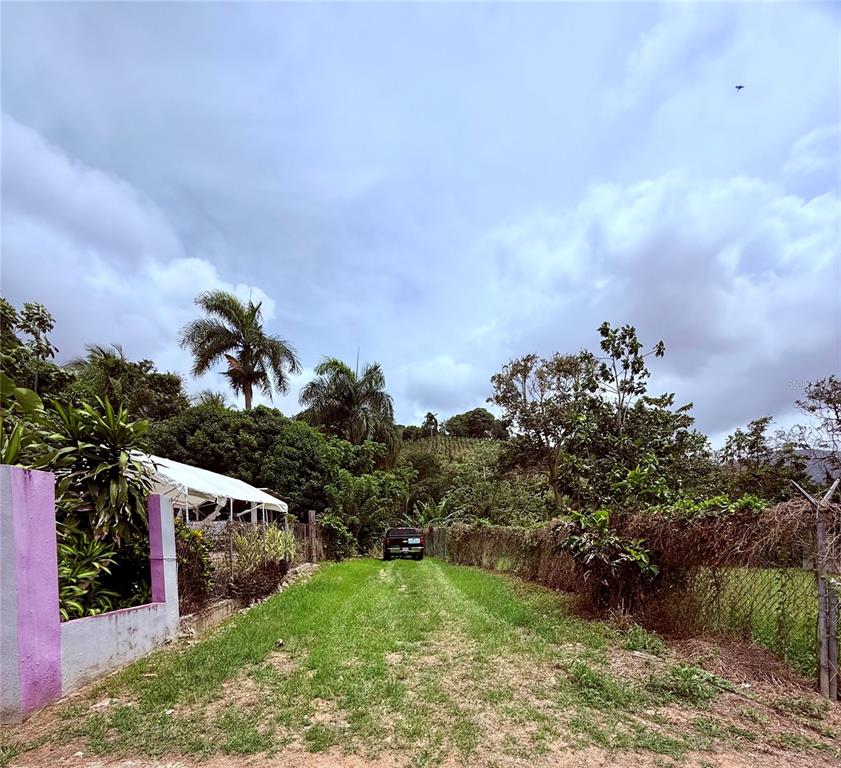 Km 0.9, Route 759, Maunabo - 11
