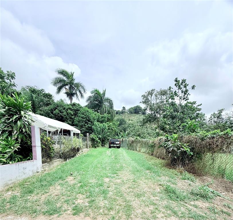 Km 0.9, Route 759, Maunabo - 12