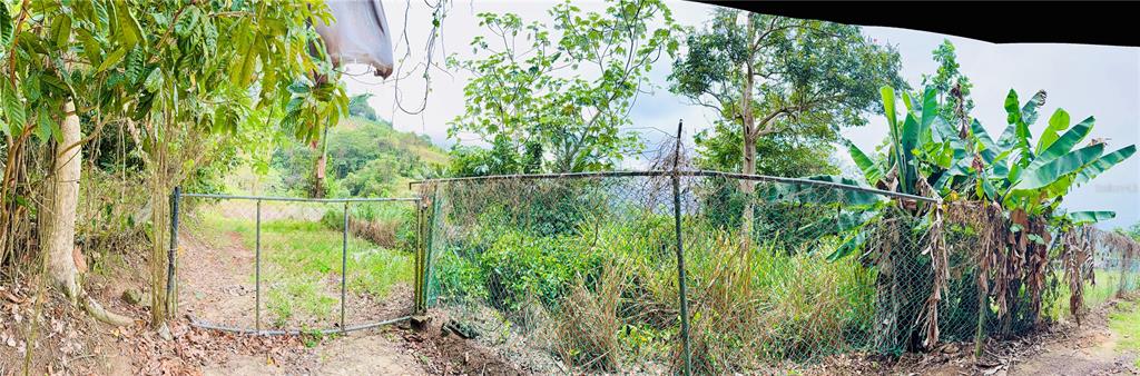 Km 0.9, Route 759, Maunabo - 15